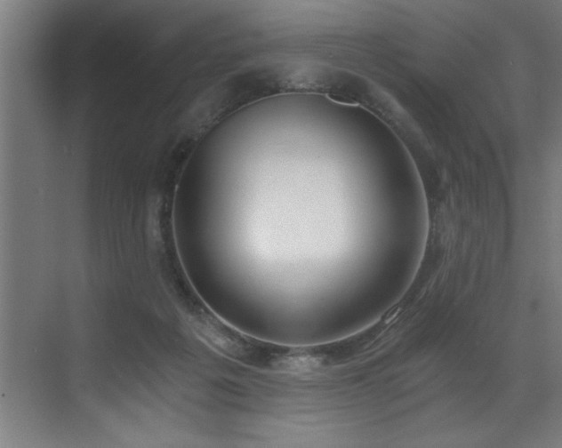 X0000072930217200607211136