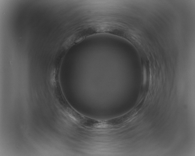 X0000072930219200607211136