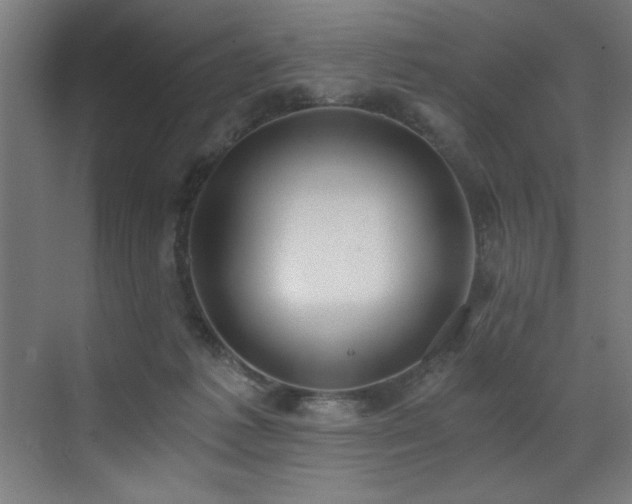 X0000072930221200607211136