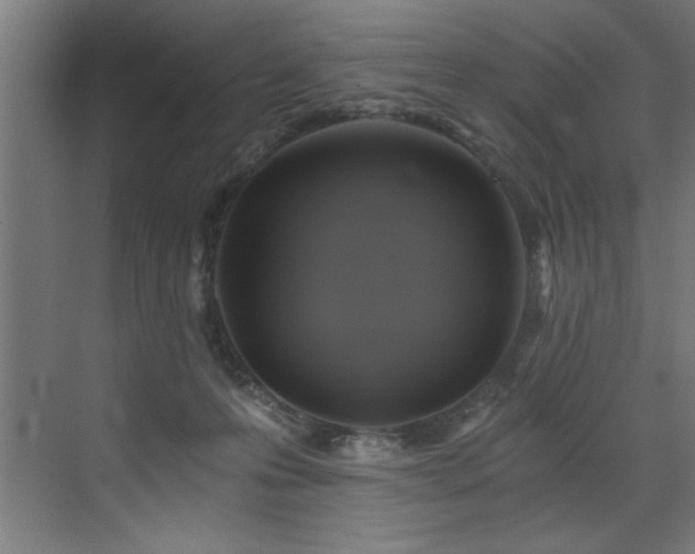 X0000072930223200607211135