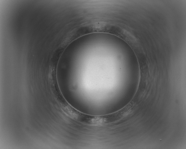 X0000072930225200607211135
