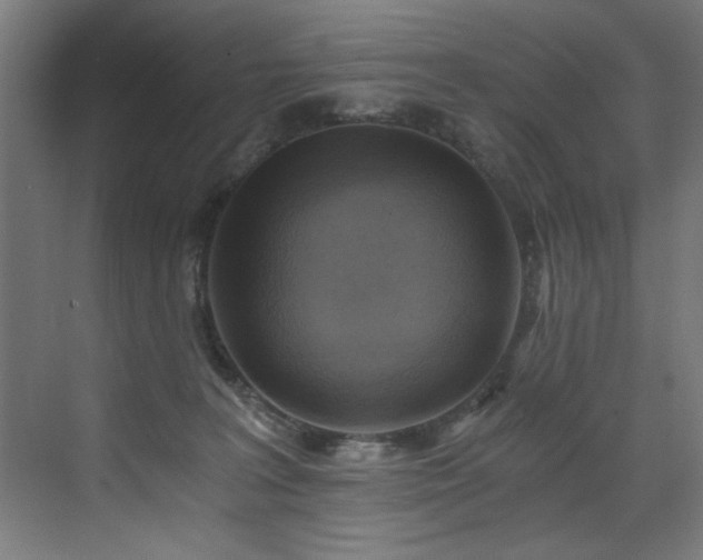 X0000072930227200607211135