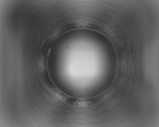 X0000072930228200607211135