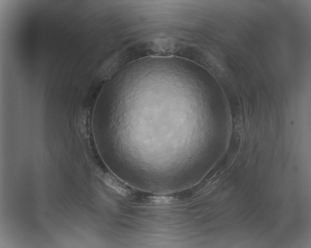 X0000072930233200607211135