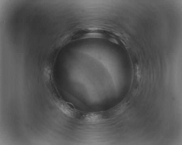 X0000072930235200607211135