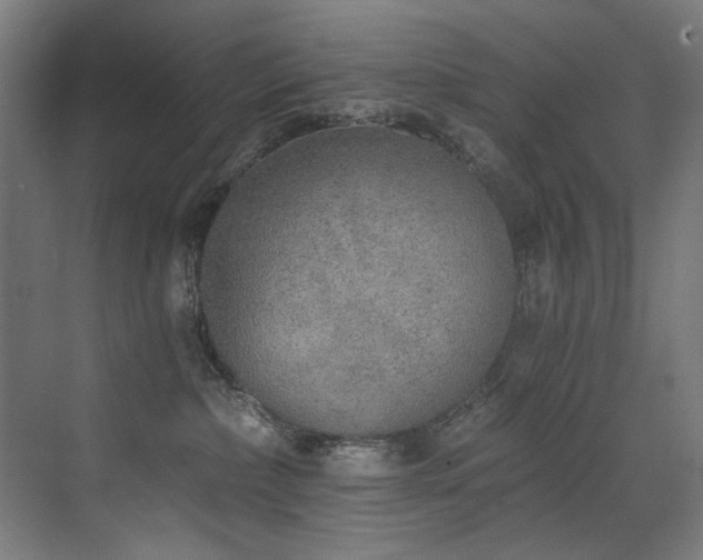 X0000072930236200607211135