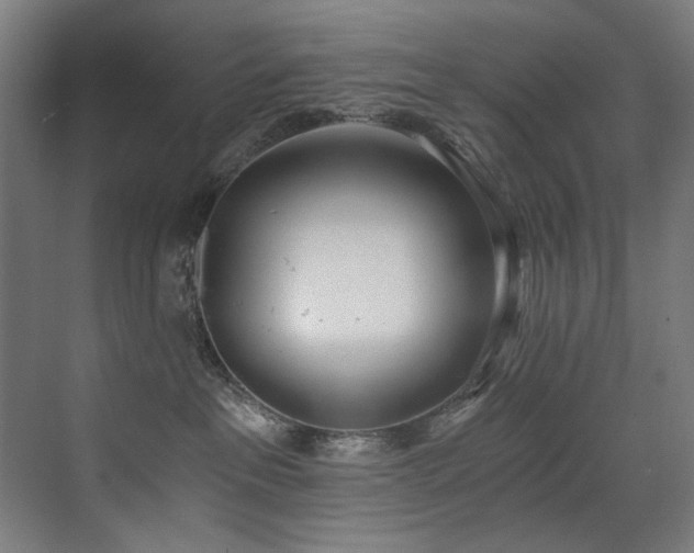 X0000072930237200607211135