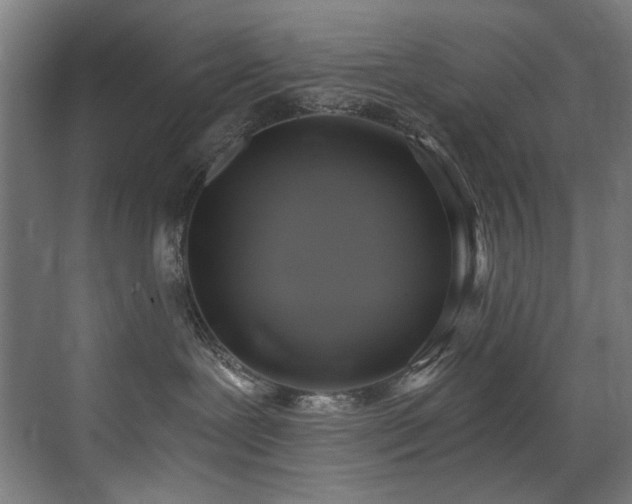 X0000072930239200607211135