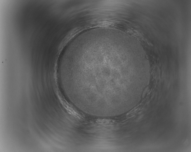X0000072930242200607211134