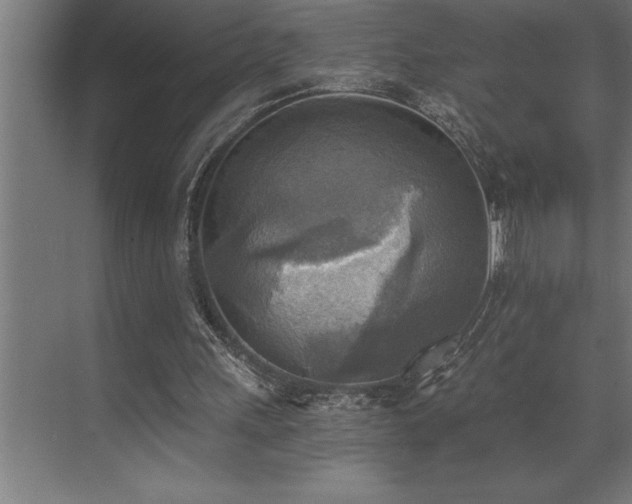 X0000072930243200607211134