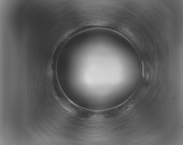 X0000072930252200607211135