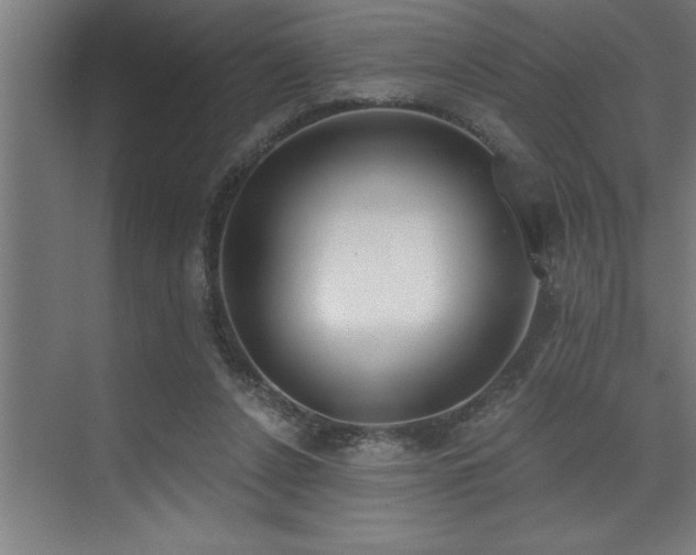 X0000072930256200607211135