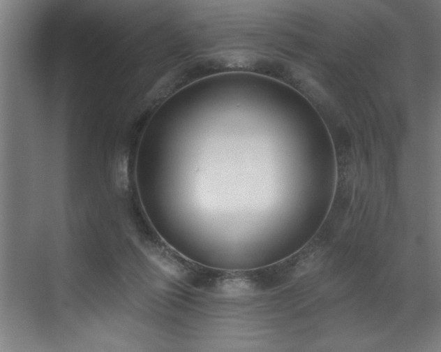 X0000072930262200607211135