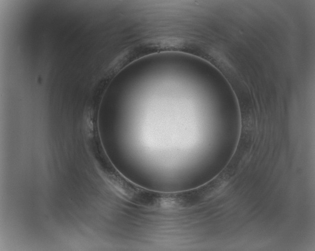 X0000072930264200607211135