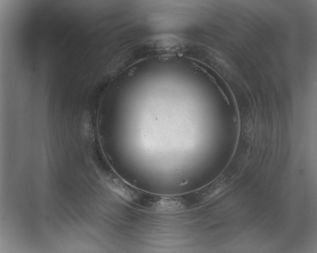 X0000072930270200607211135