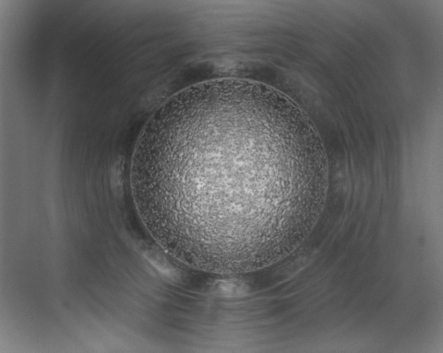 X0000072930275200607211135