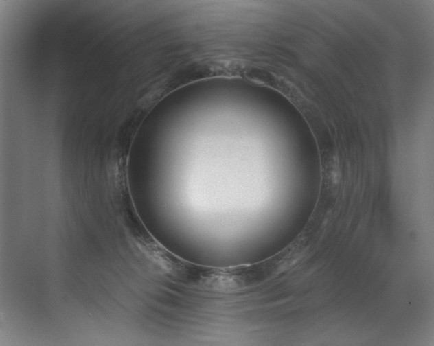 X0000072930276200607211135