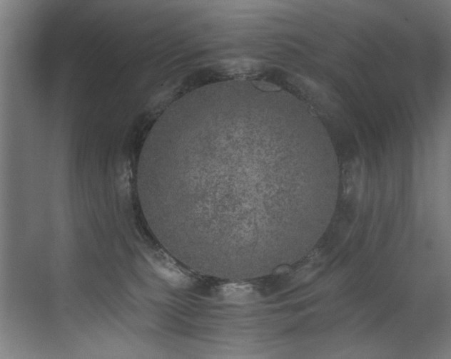 X0000072930279200607211135