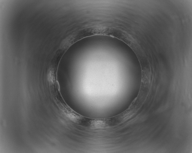 X0000072930287200607211135