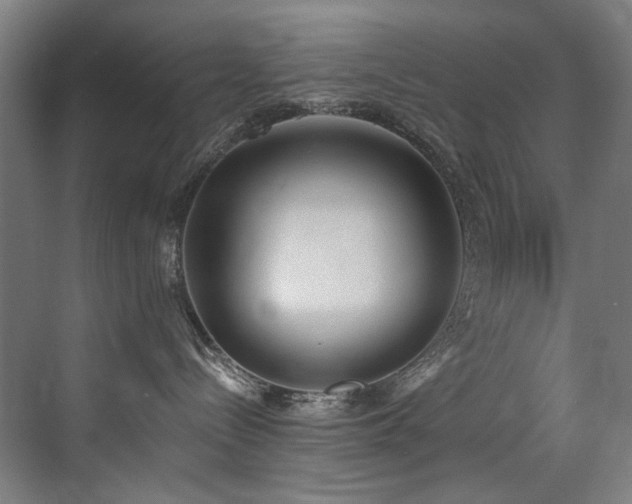 X0000072930288200607211135