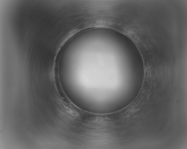 X0000072930292200607211134