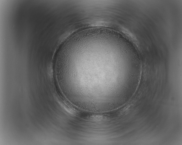 X0000072930298200607211134