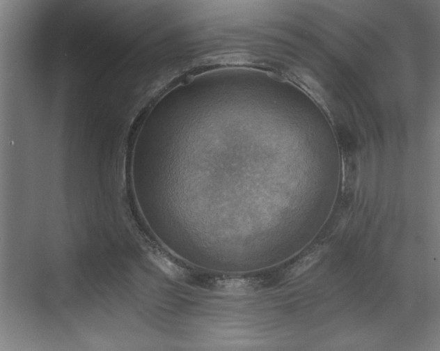 X0000072930301200607211134