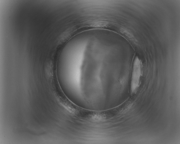 X0000072930303200607211134