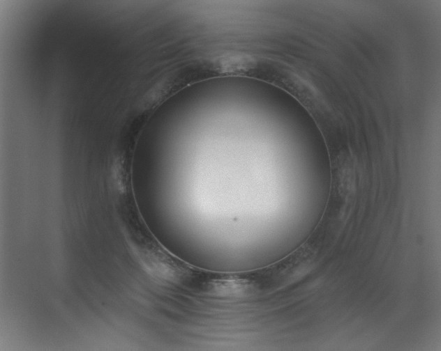 X0000072930316200607211134