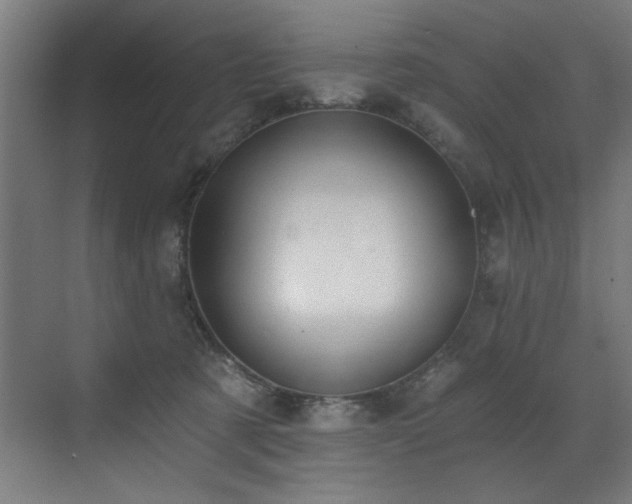 X0000072930321200607211134