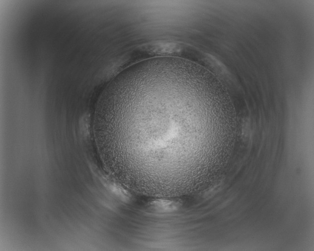 X0000072930326200607211134