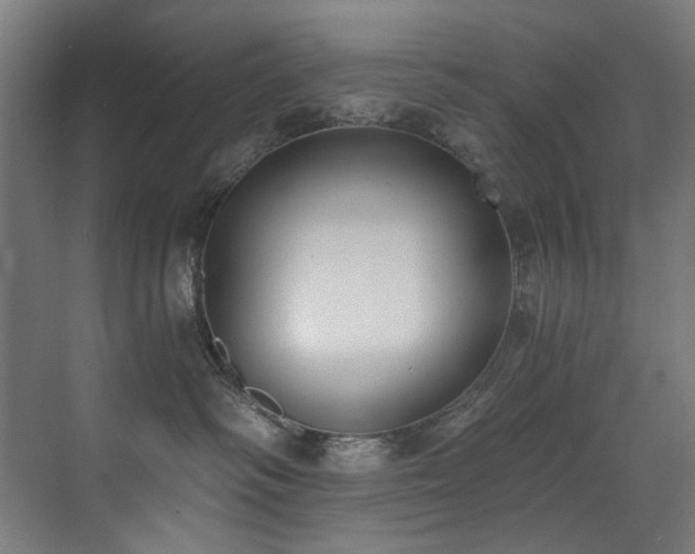 X0000072930334200607211134
