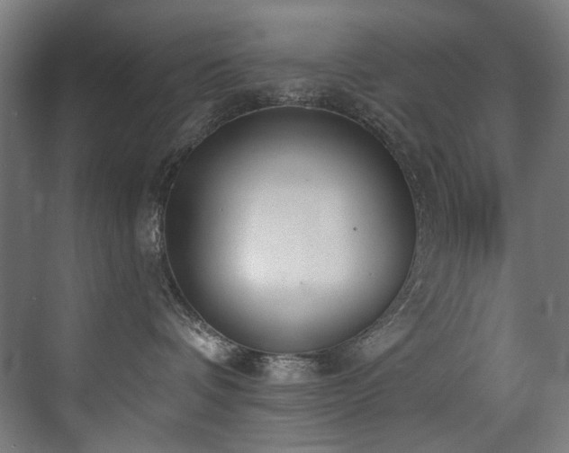 X0000072930336200607211134
