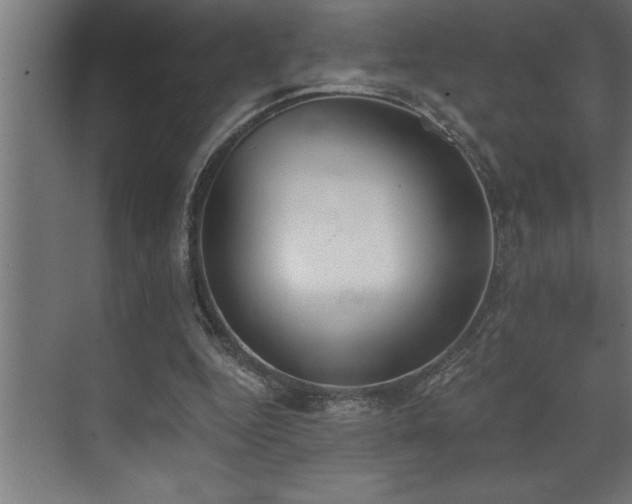 X0000072930344200607211133