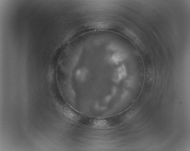 X0000072930355200607211133