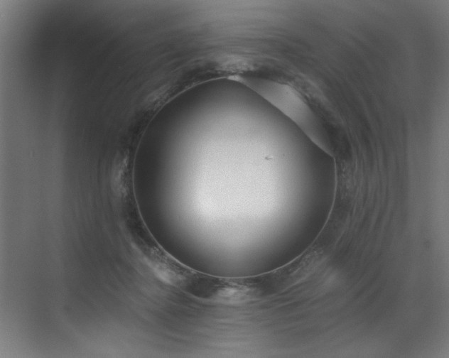 X0000072930364200607211133
