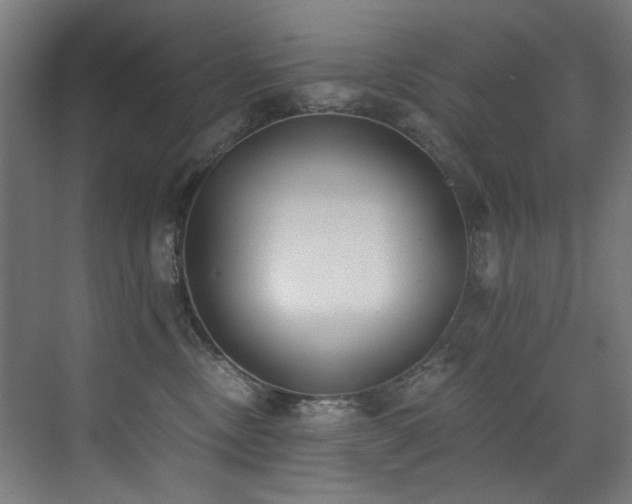 X0000072930378200607211133