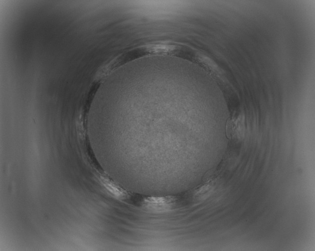 X0000072930381200607211133