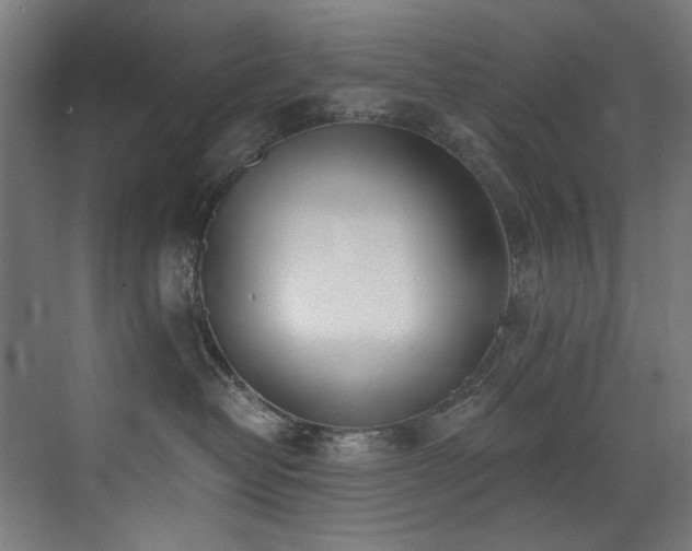 X0000072930382200607211133