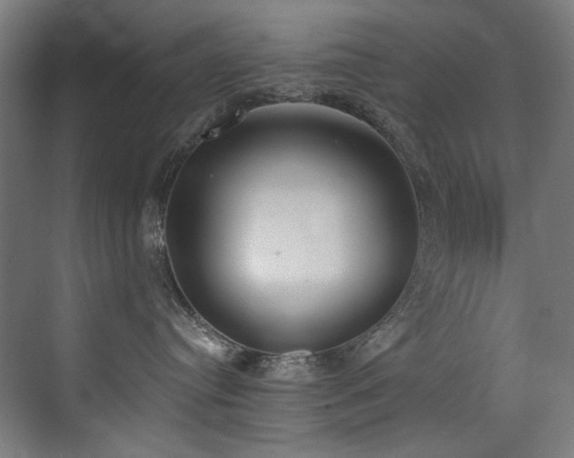 X0000072930384200607211134