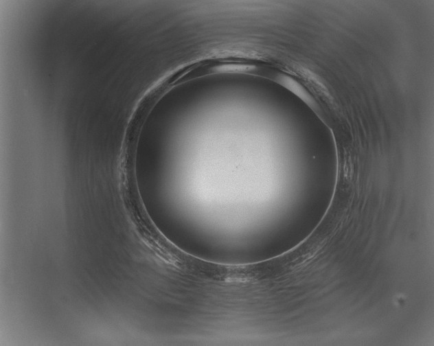 X0000072930388200607211133