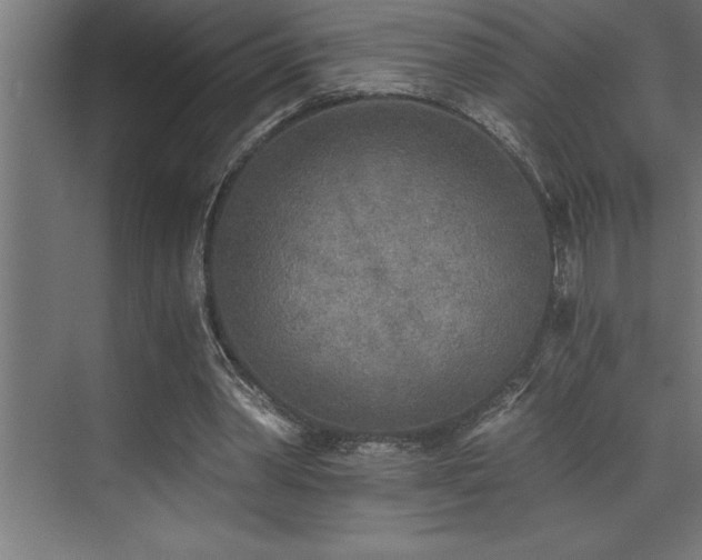 X0000072930390200607211133