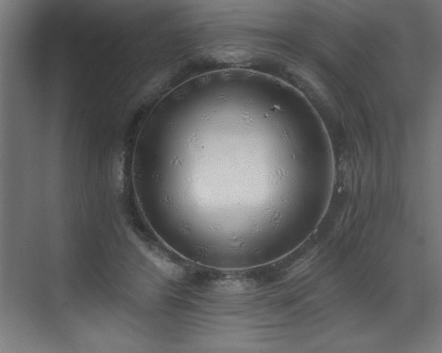 X0000072930404200607211132