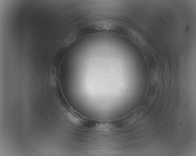 X0000072930414200607211132
