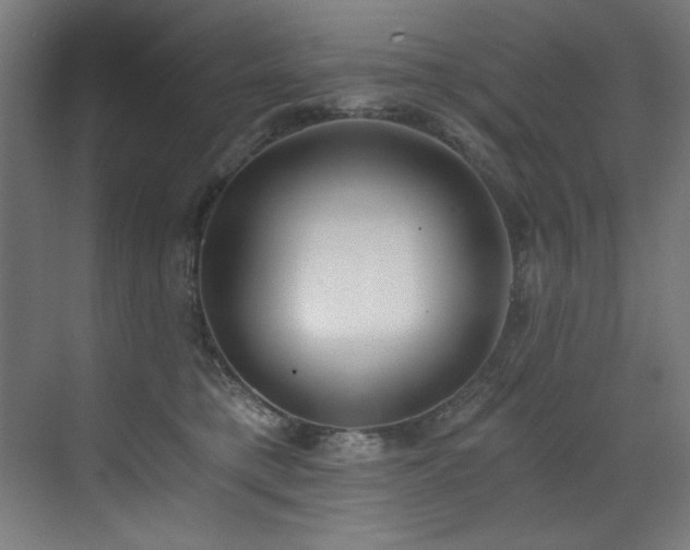 X0000072930421200607211132
