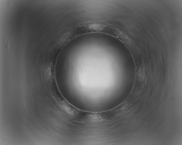 X0000072930424200607211132