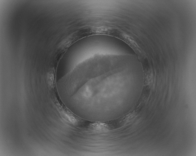 X0000072930427200607211132