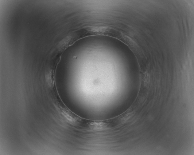 X0000072930428200607211132
