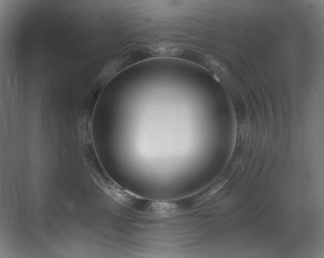 X0000072930429200607211132