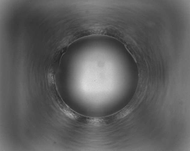 X0000072930432200607211132
